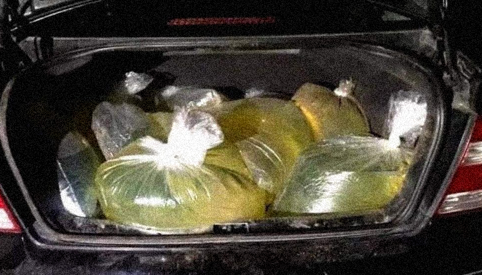 Plastic bags filled with gasoline in a car trunk, demonstrating the impact of the colonial pipeline ransomware cyber attack in 2021